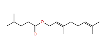 (E)-3,7-Dimethyl-2,6-octadienyl 4-methylpentanoate